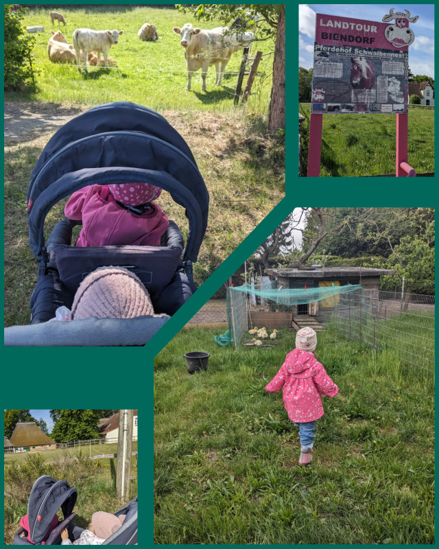 Landtour